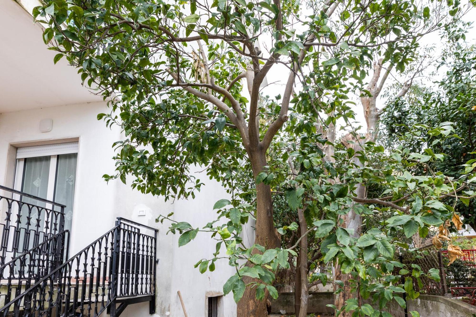 Bed and Breakfast V Harmony In Sorrento Meta Exterior foto